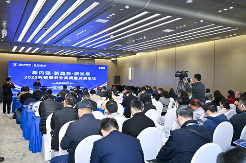 2025中關(guān)村論壇系列活動(dòng) 聚焦科技服務(wù)業(yè)高質(zhì)量發(fā)展，工程技術(shù)服務(wù)引領(lǐng)創(chuàng)新未來(lái)